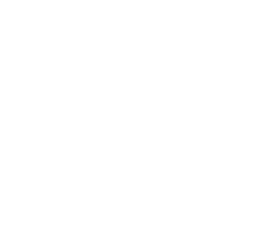 WeddingWire: 10 Years logo